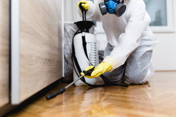 Best Affordable Pest Control Services  in Dana, NC