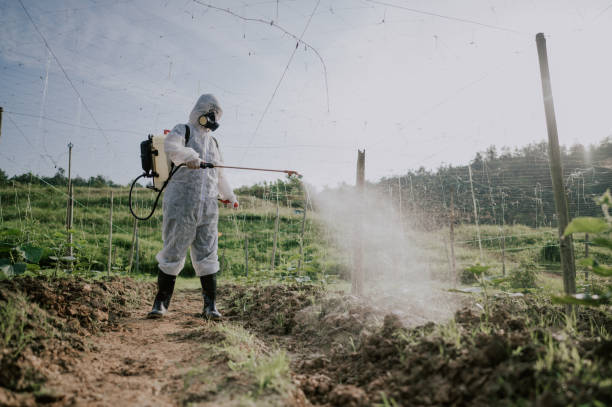 Best Best Pest Control Companies  in Dana, NC