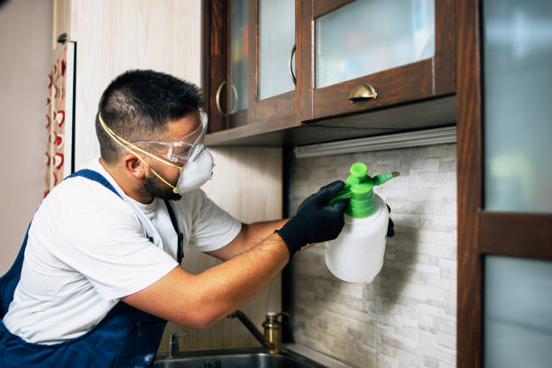 Best Local Pest Control Services  in Dana, NC