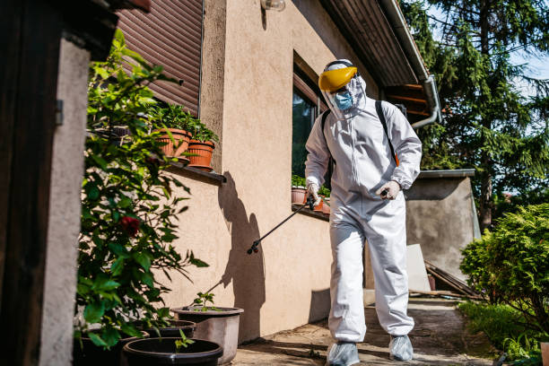 Best Mosquito Control Services  in Dana, NC