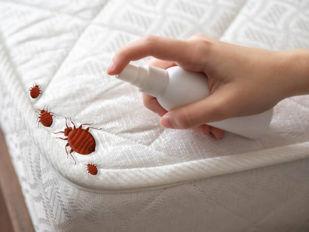 Dana, NC Pest Control Company
