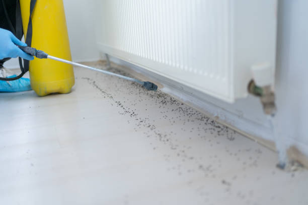 Best Commercial Pest Control Services  in Dana, NC