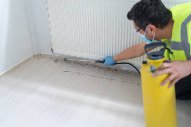 Best Pest Control for Restaurants  in Dana, NC